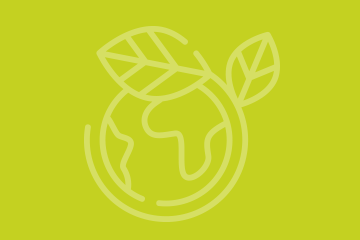 Flagship 4: Environmental transitions